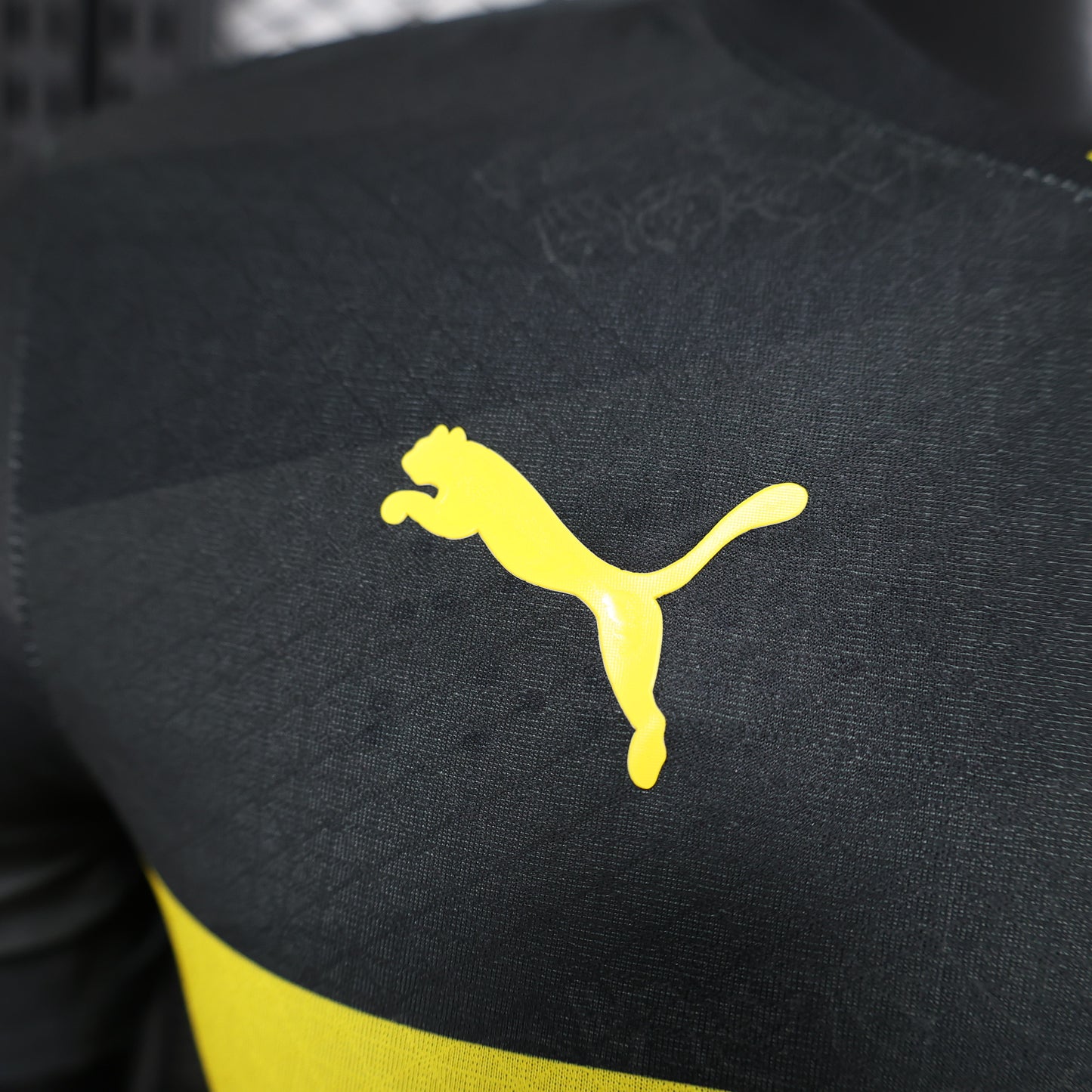 Borussia Dortmund 2024/25 Away