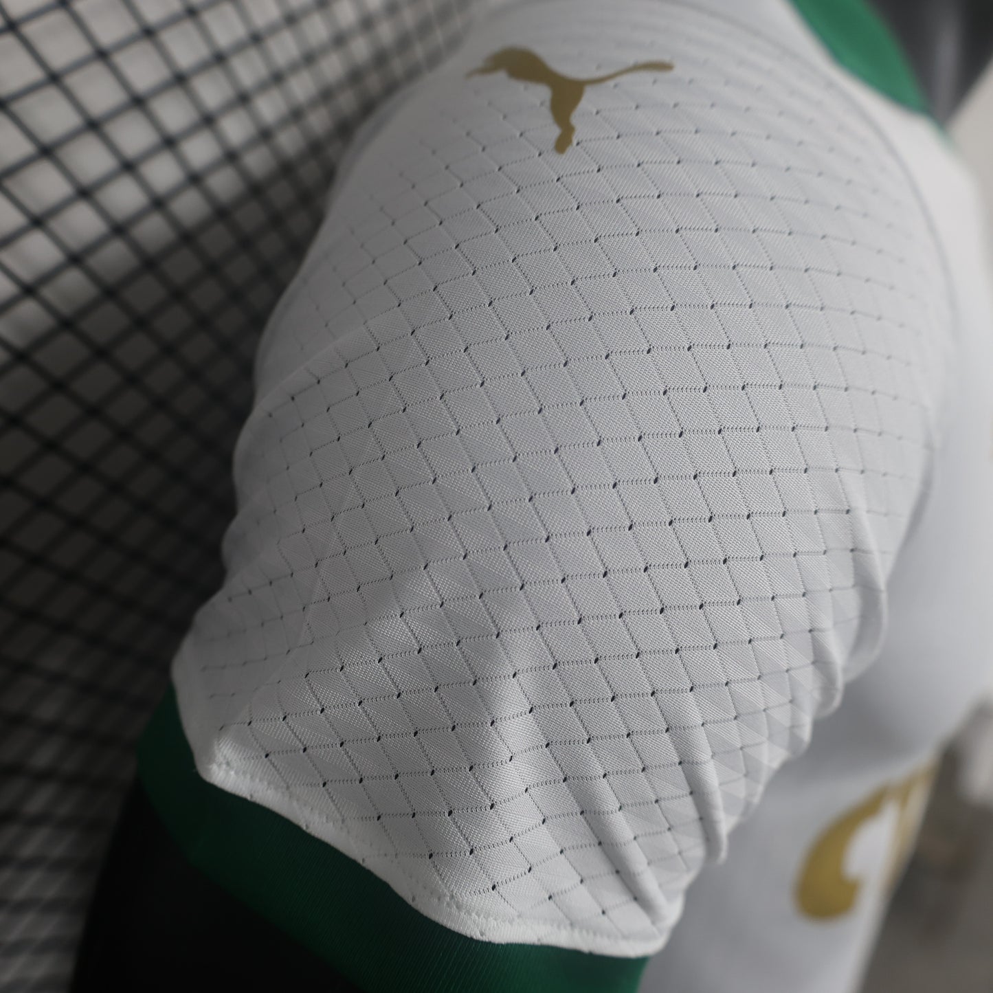 Palmeiras 2024 Away