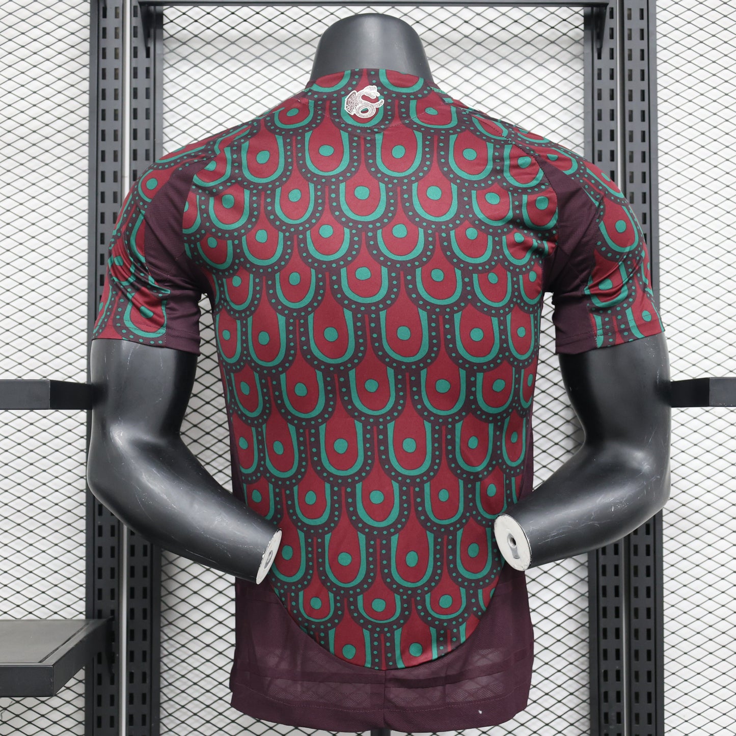 Mexico 2024 Home