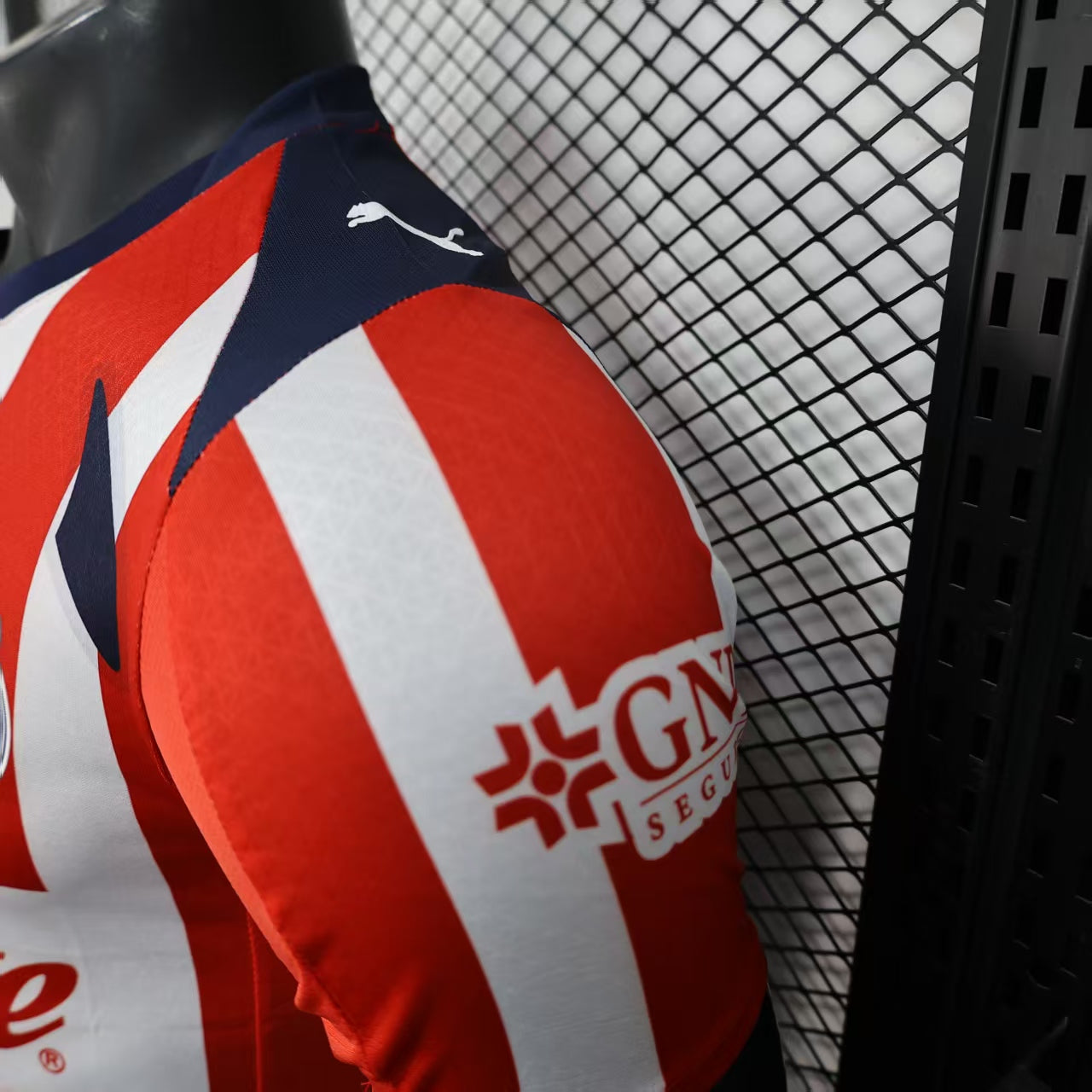 C.D. Guadalajara 2025/26 Home