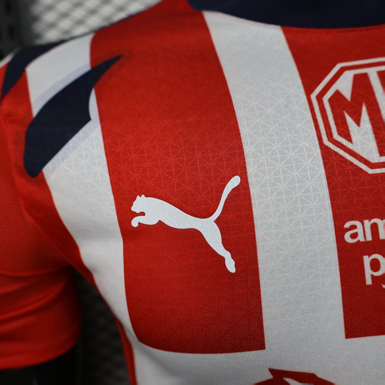 C.D. Guadalajara 2025/26 Home