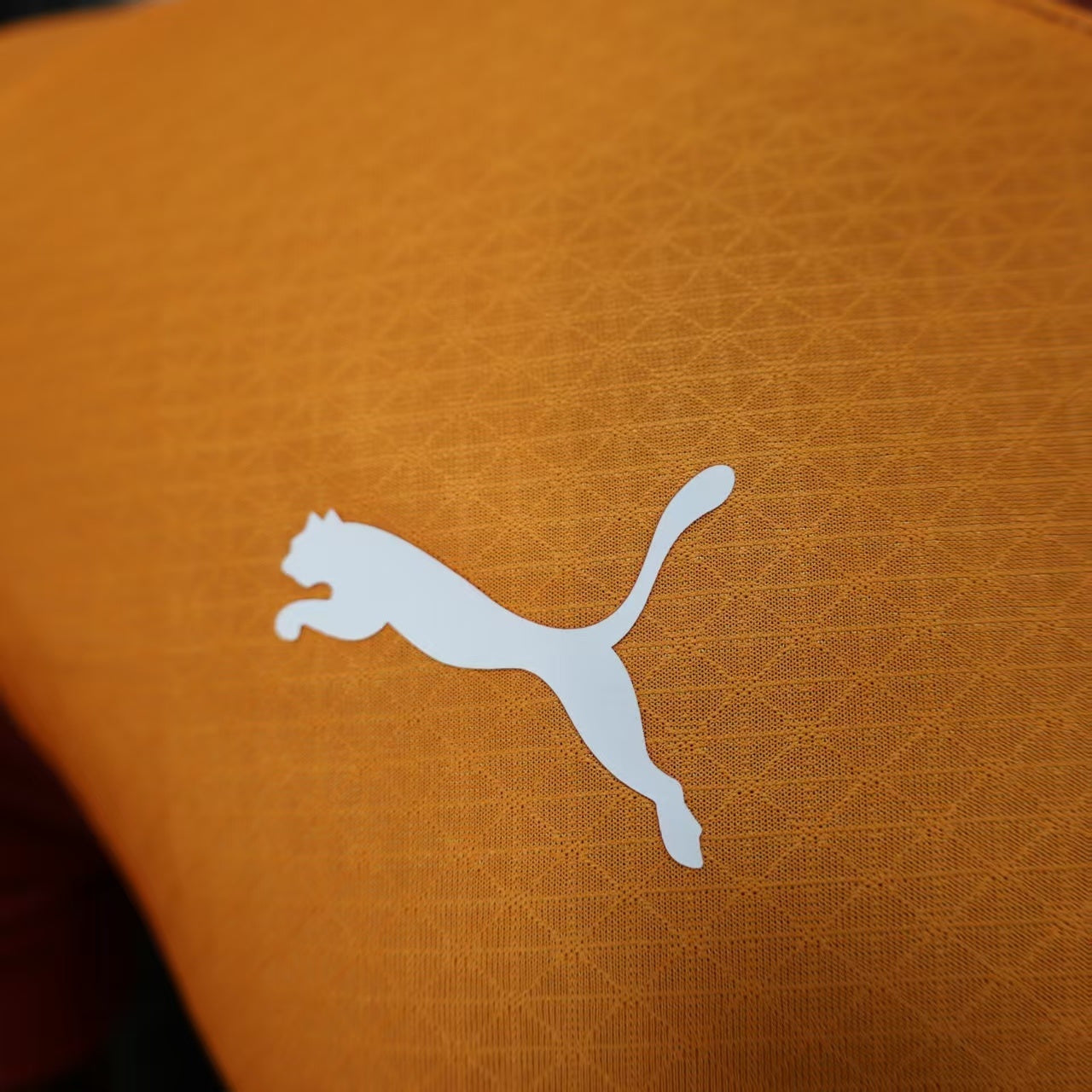 Galatasaray 2025/26 Home