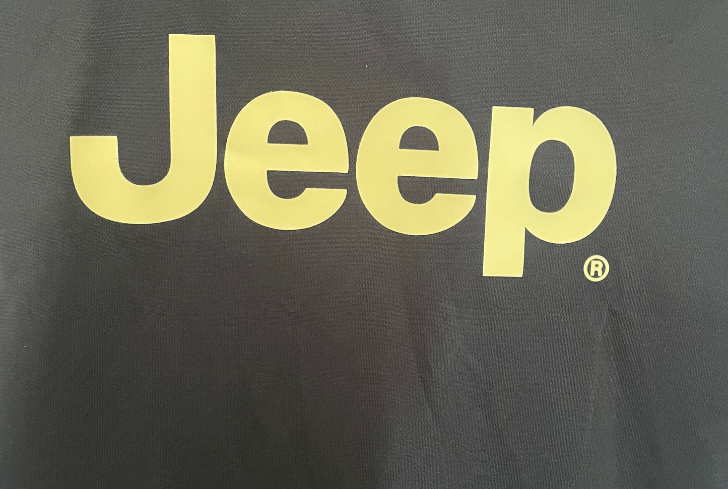 Juventus 2015/16 Third