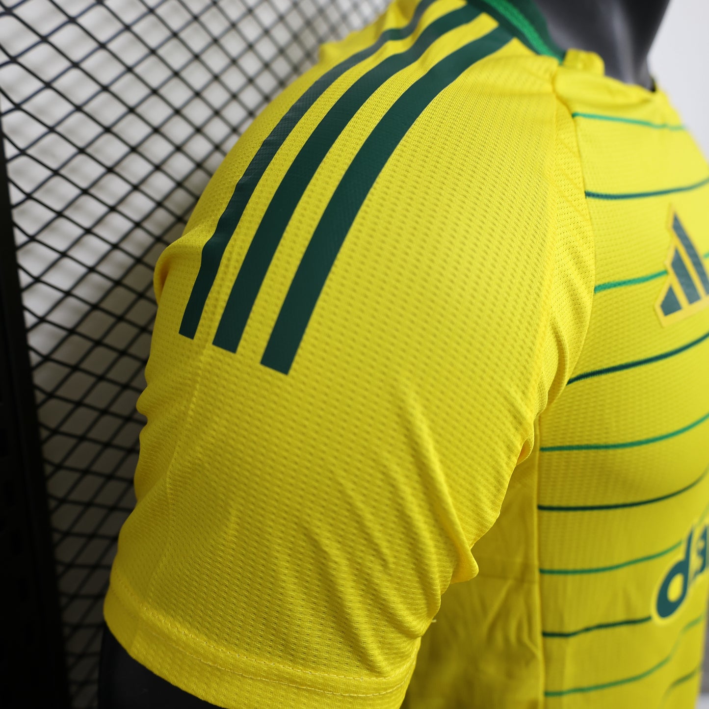 Celtic 2024/25 Away