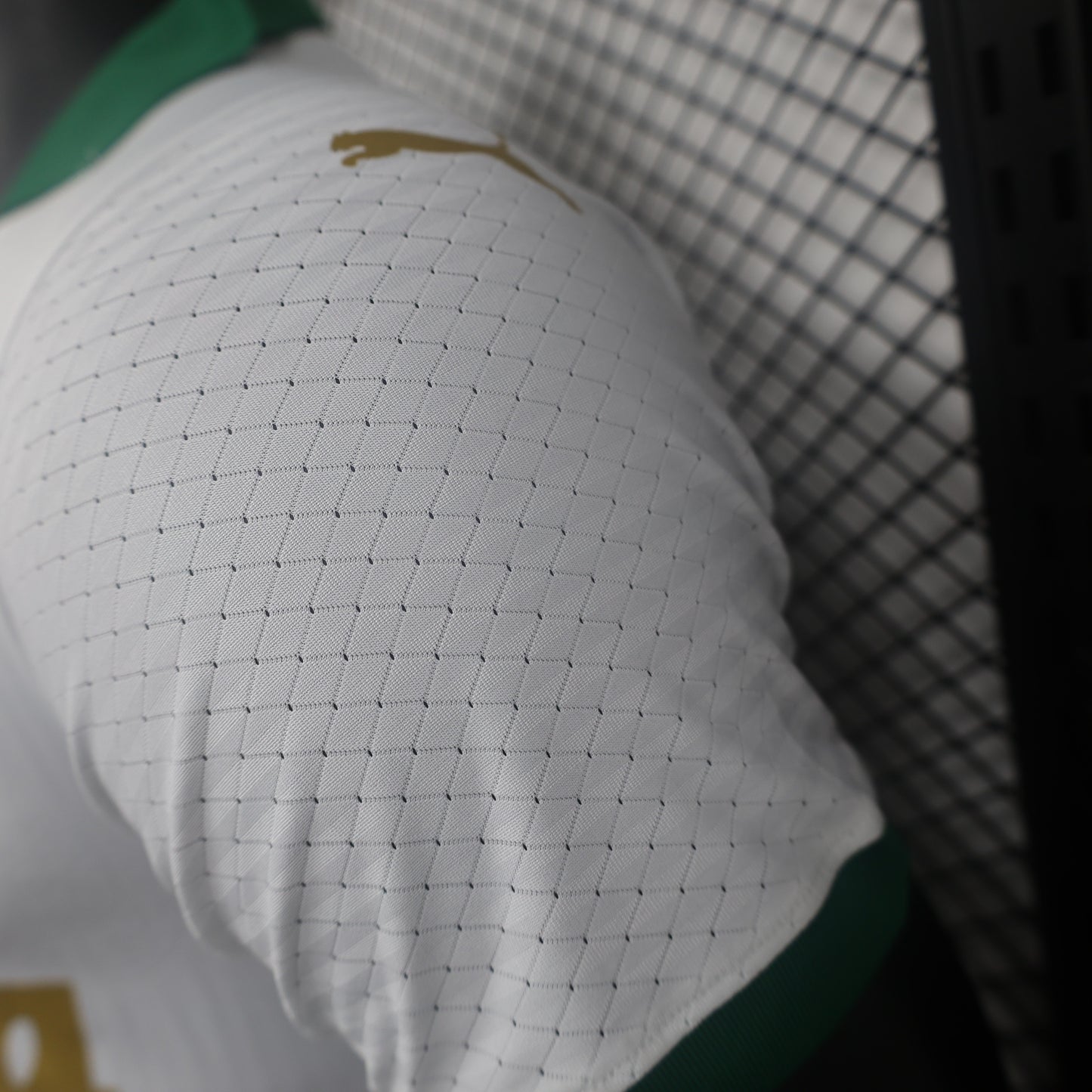 Palmeiras 2024 Away