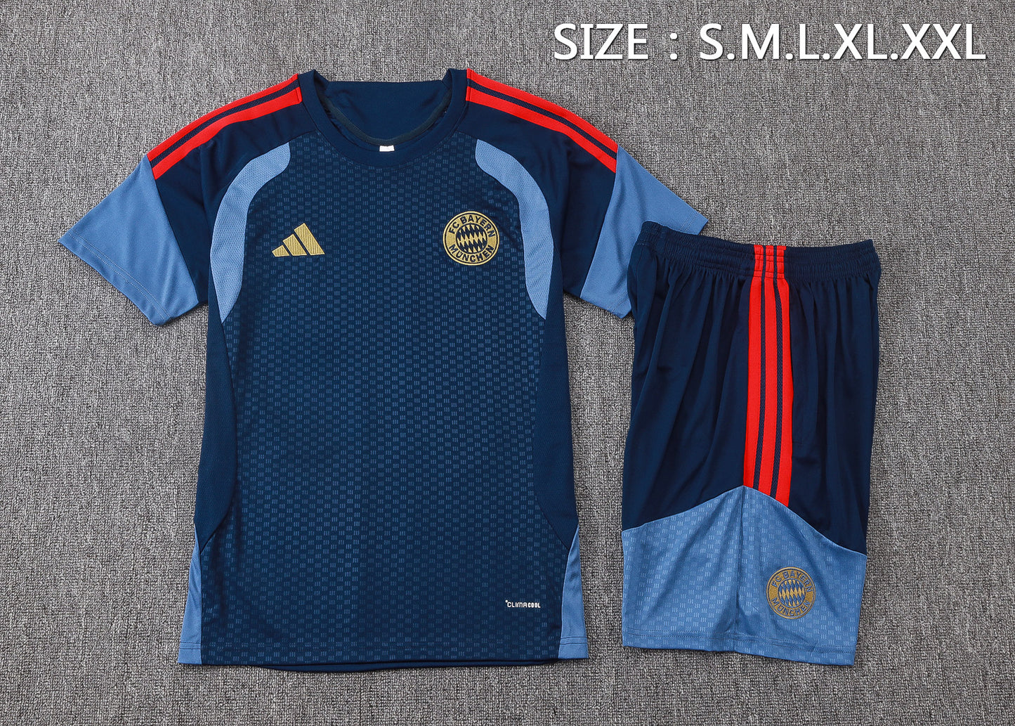 Bayern Munich Training Kit  - Navy/Steel Blue/Red