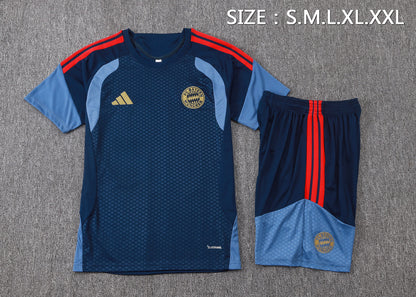 Bayern Munich Training Kit  - Navy/Steel Blue/Red