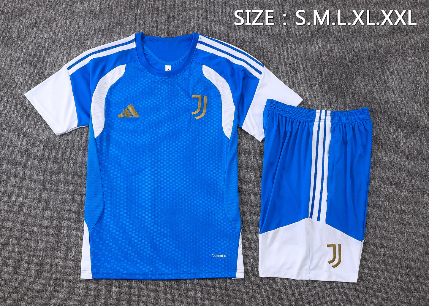 Juventus Training Kit  - Blue/White