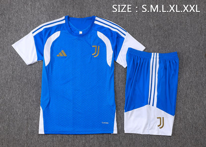 Juventus Training Kit  - Blue/White