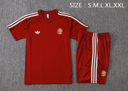 Spain Training Kit  - Classic Home