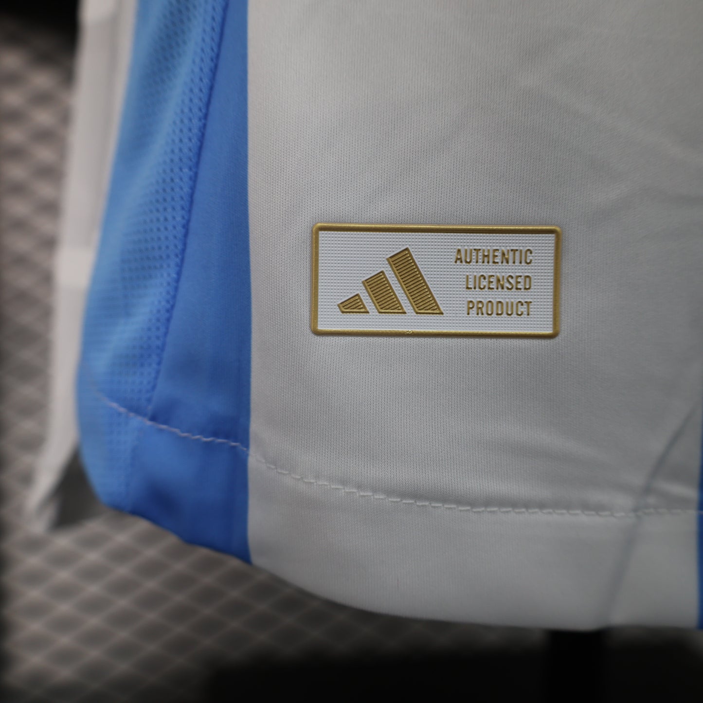 Argentina 2024 Home