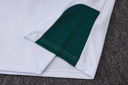Italy Training Kit  - White/Green