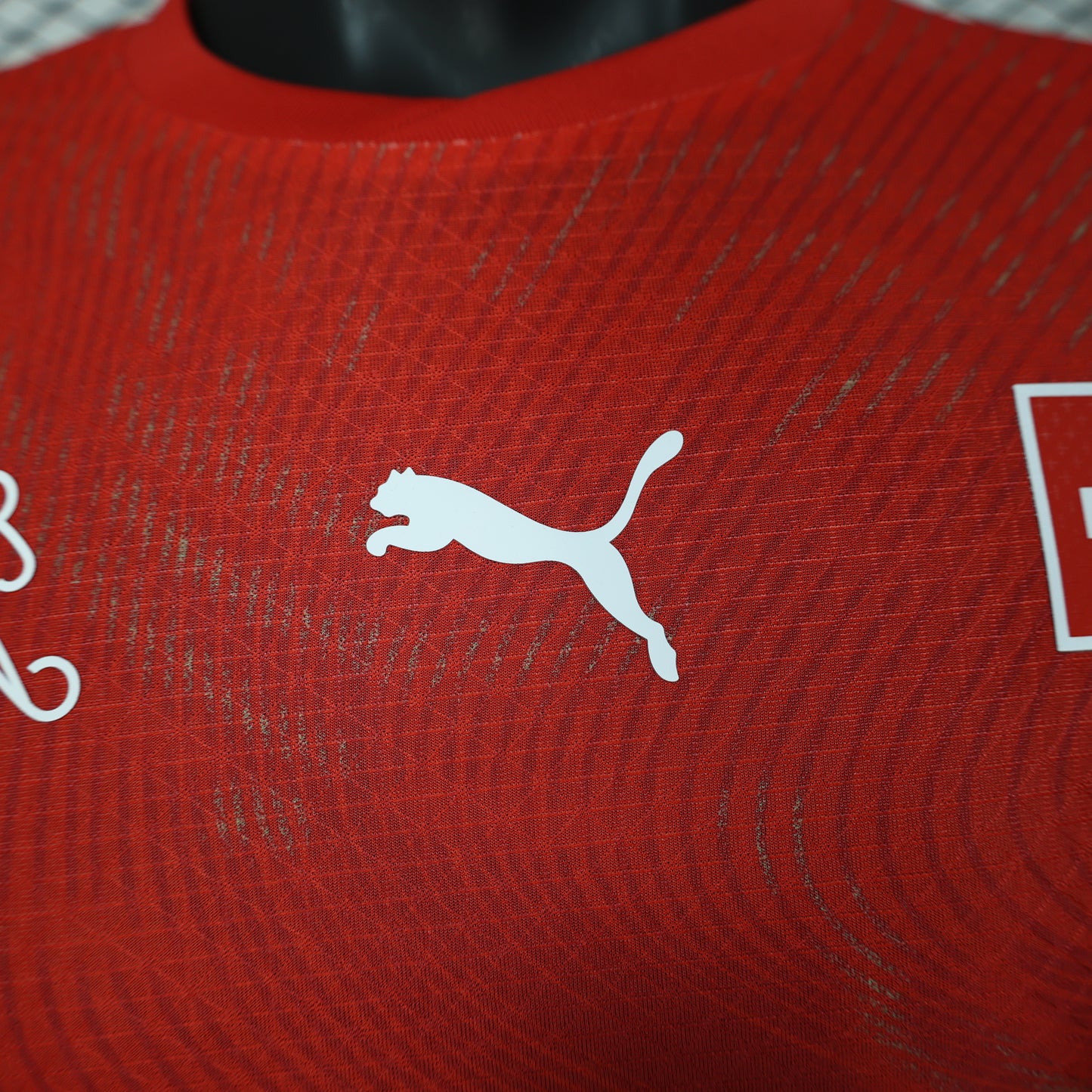 Switzerland 2026 World Cup Home