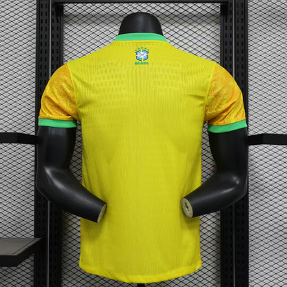 Brazil 'Christ The Redeemer' 2024 - Home