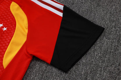 Germany Training Kit  - Red/Yellow/Black
