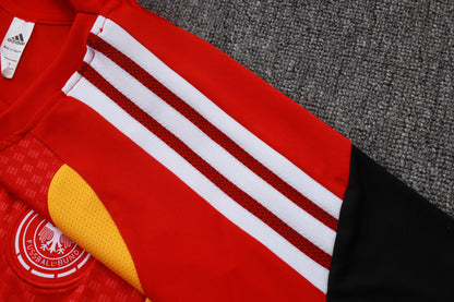 Germany Training Kit  - Red/Yellow/Black