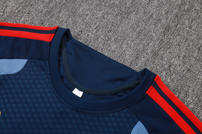 Bayern Munich Training Kit  - Navy/Steel Blue/Red