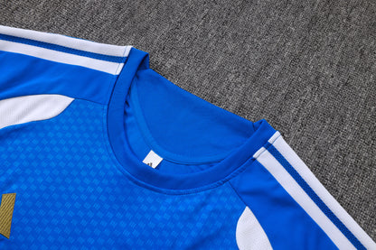 Juventus Training Kit  - Blue/White