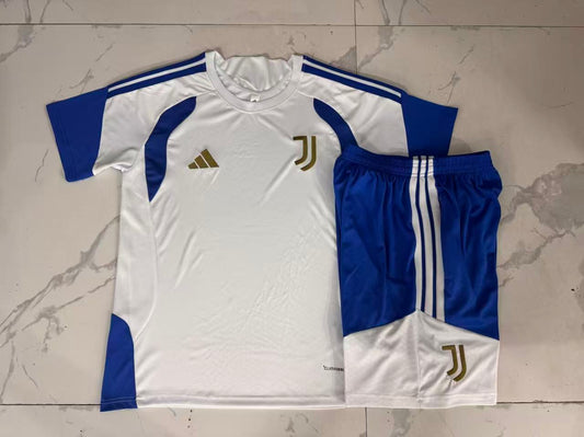 Juventus Training Kit  - White/Blue