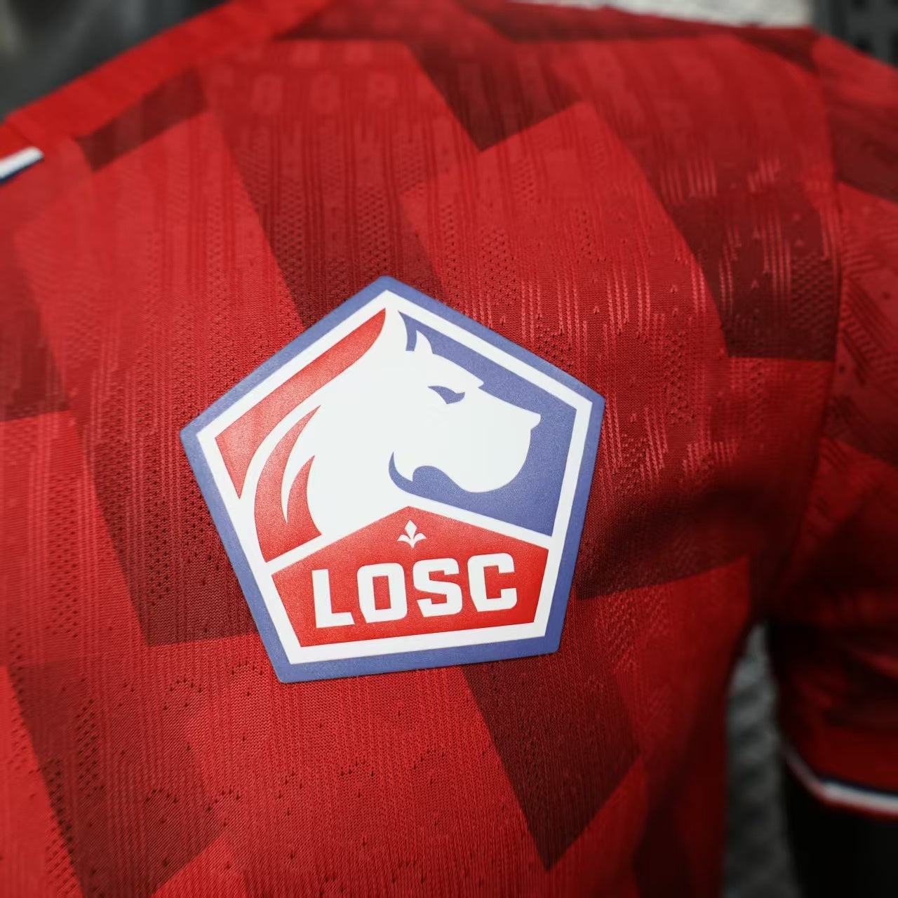 Lille OSC 2025/26 Home