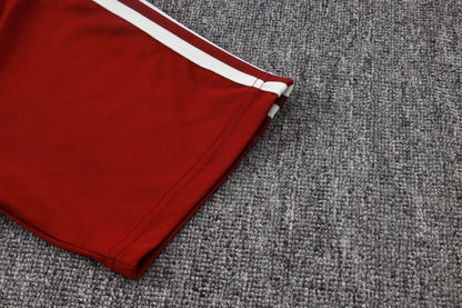 Spain Training Kit  - Classic Home