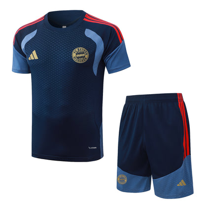 Bayern Munich Training Kit  - Navy/Steel Blue/Red