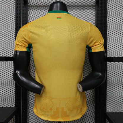 Ghana 2026 World Cup Home