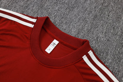 Spain Training Kit  - Classic Home