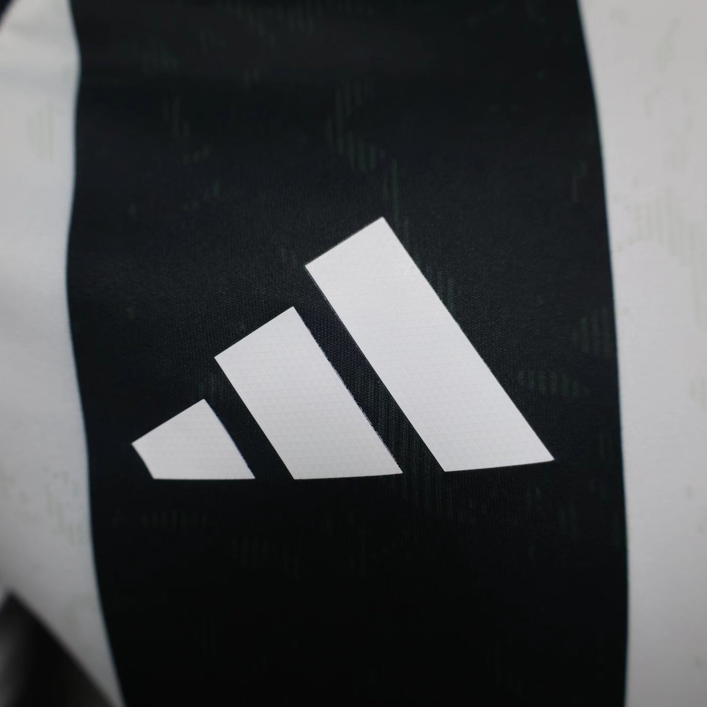 Juventus 2024/25 Home