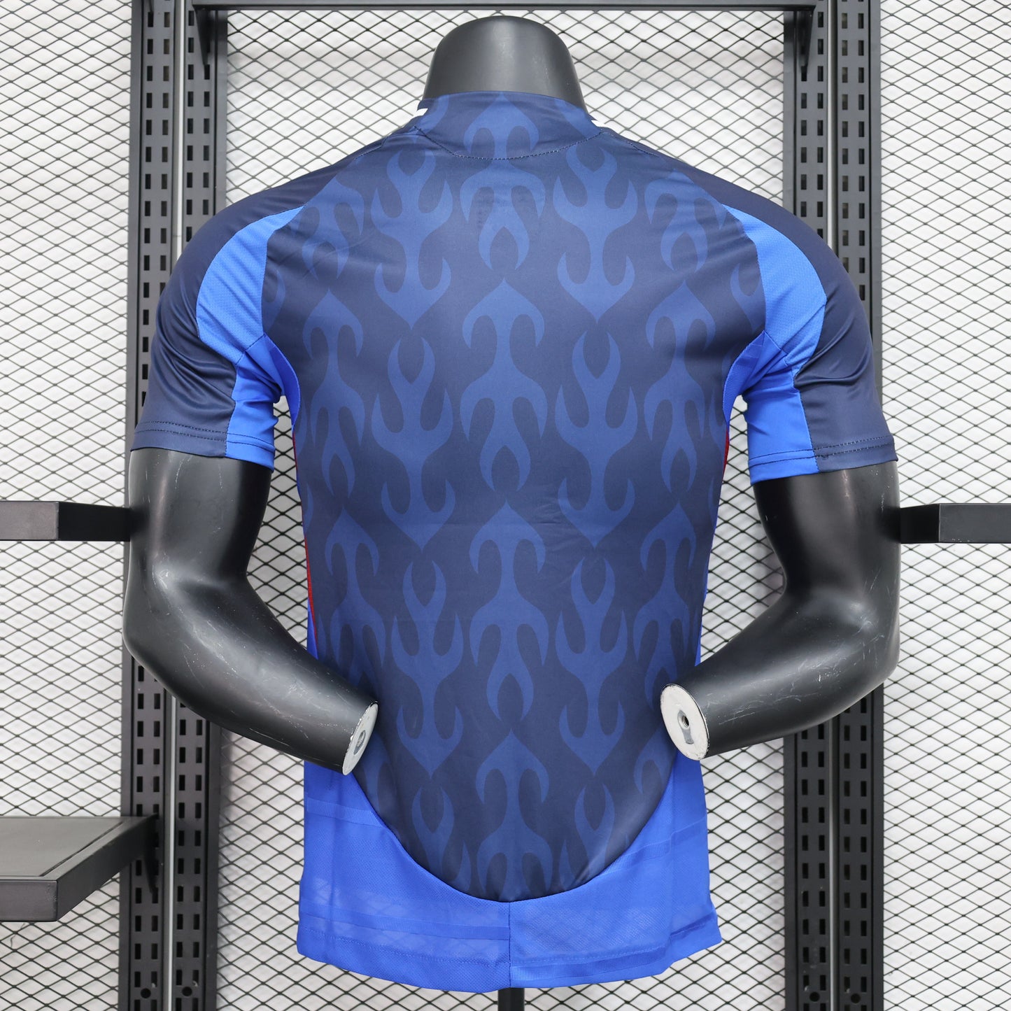 Japan 2024/25 Home
