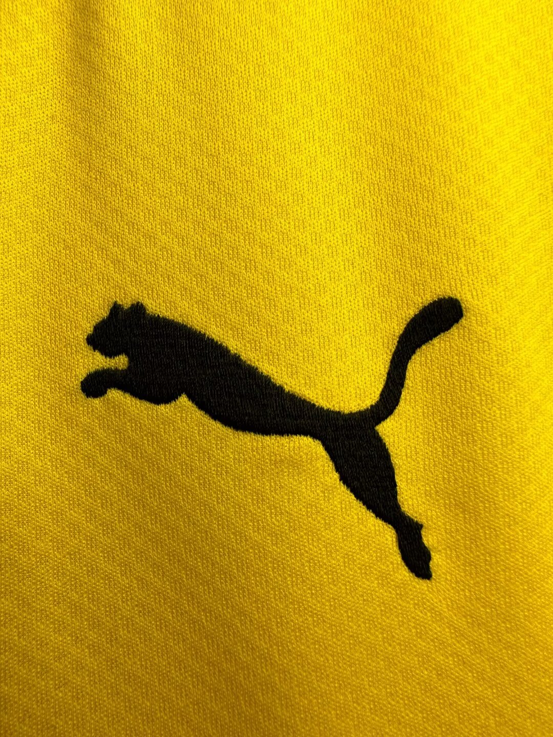 Borussia Dortmund 2019/20 Home