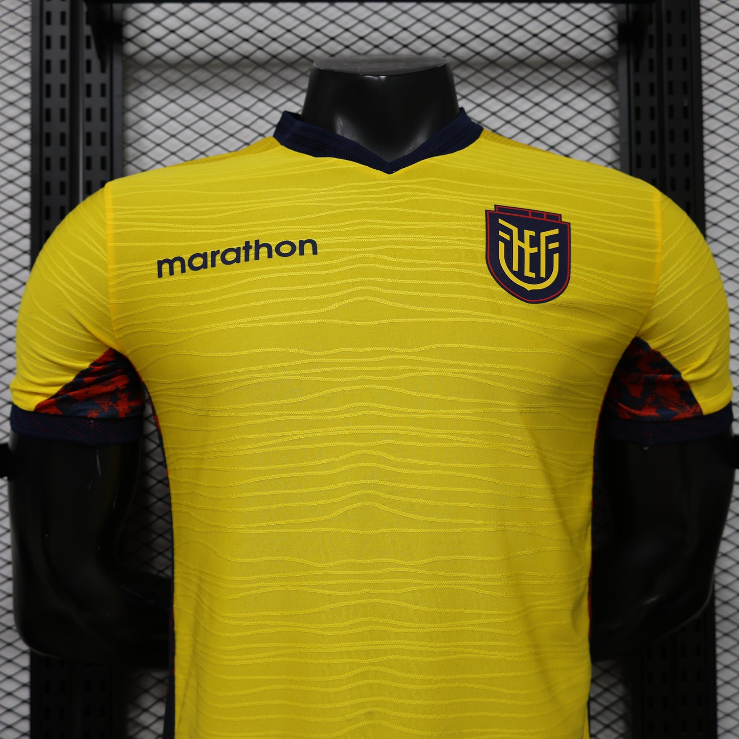 Ecuador 2026 World Cup Home