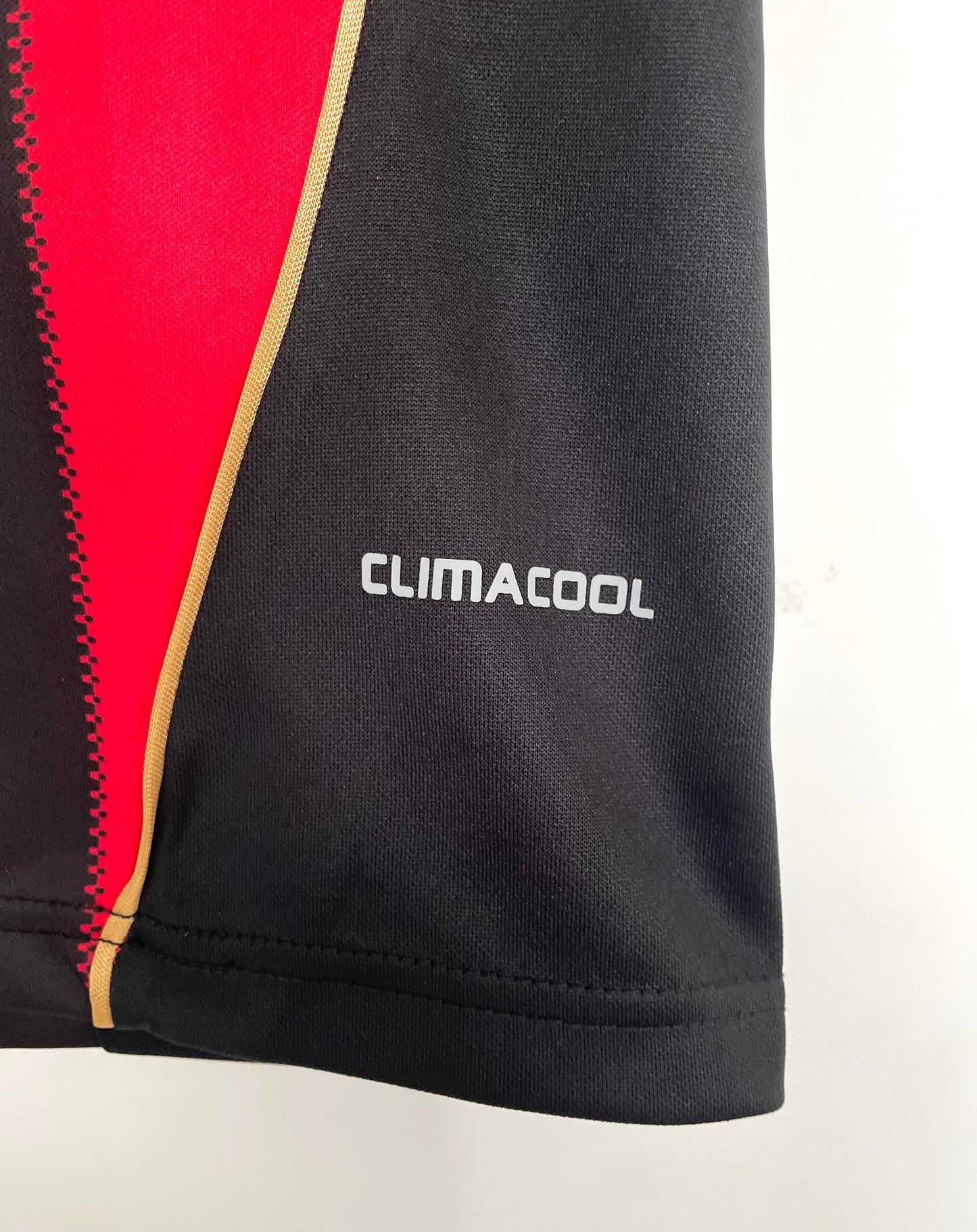 AC Milan 2010/11 Home