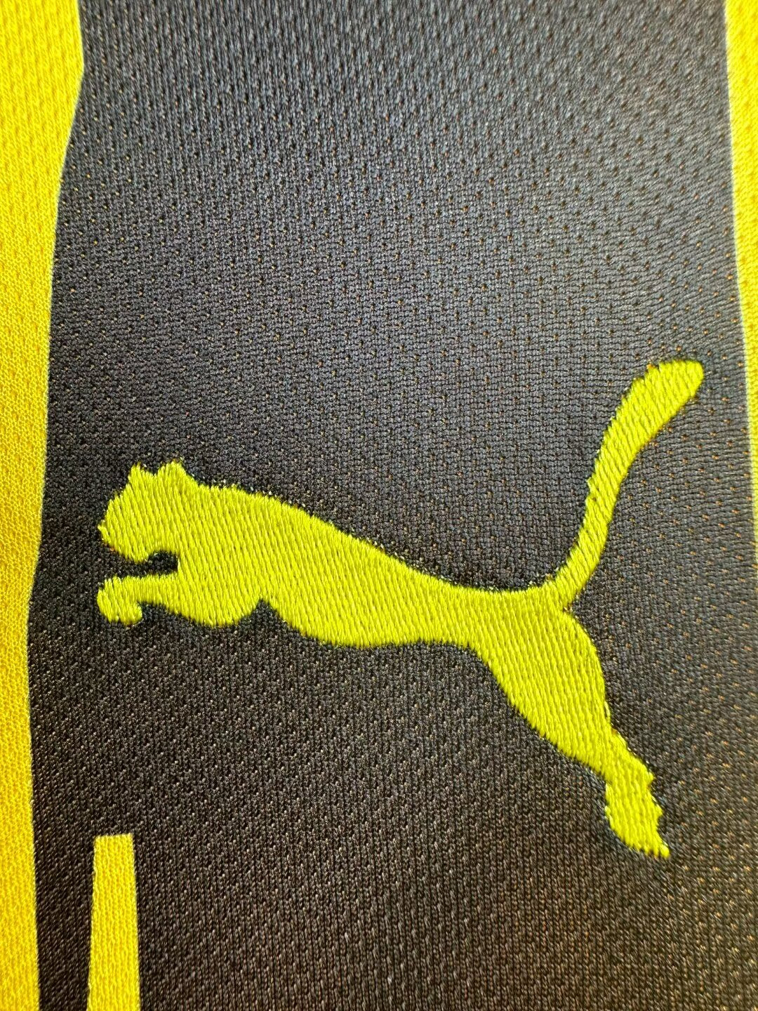 Borussia Dortmund 2012/13 European Home