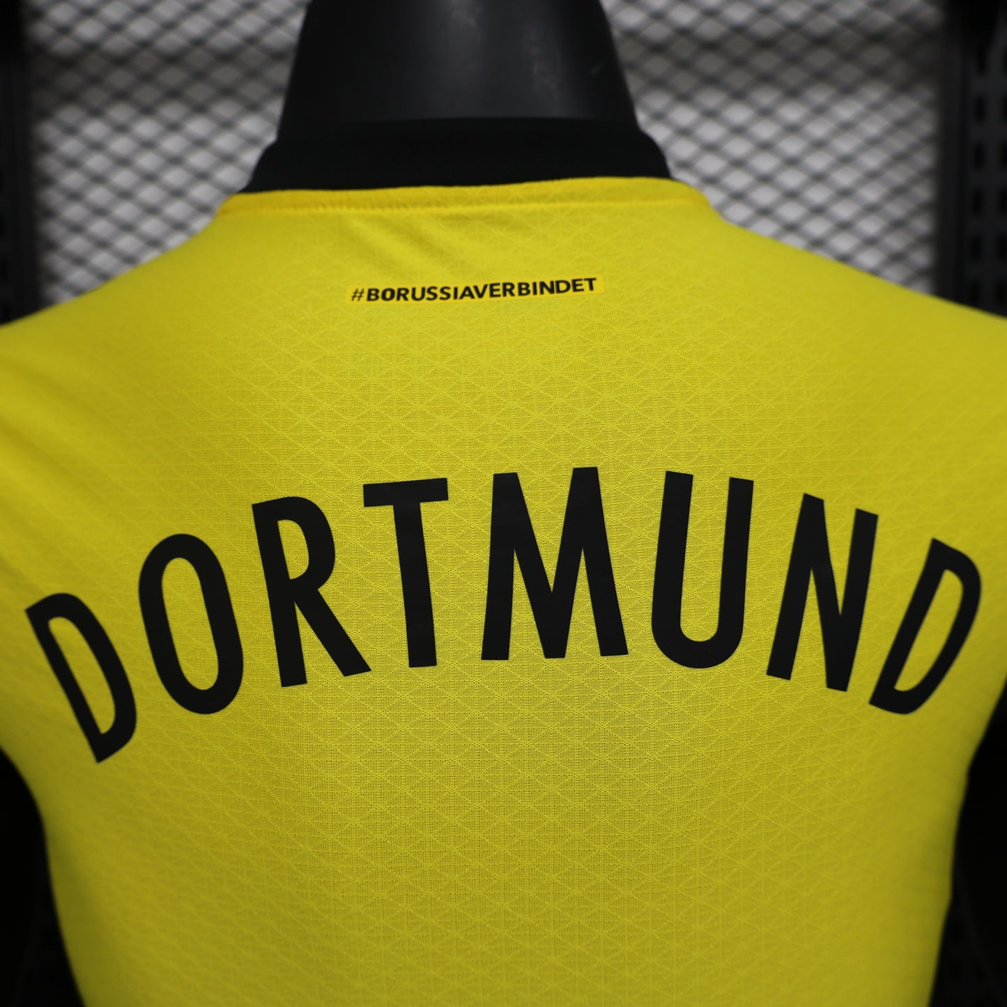 Borussia Dortmund 2024/25 Home