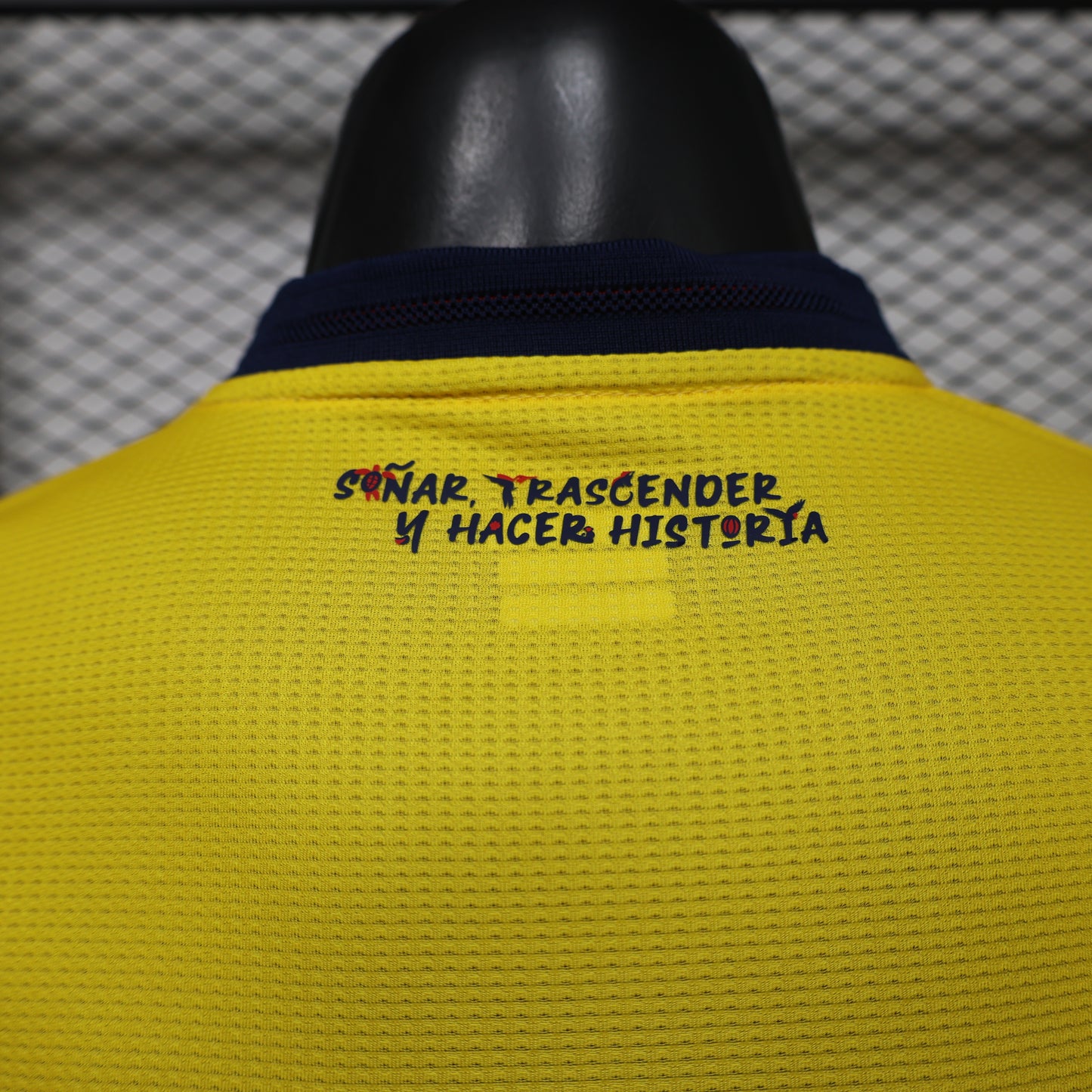 Ecuador 2026 World Cup Home
