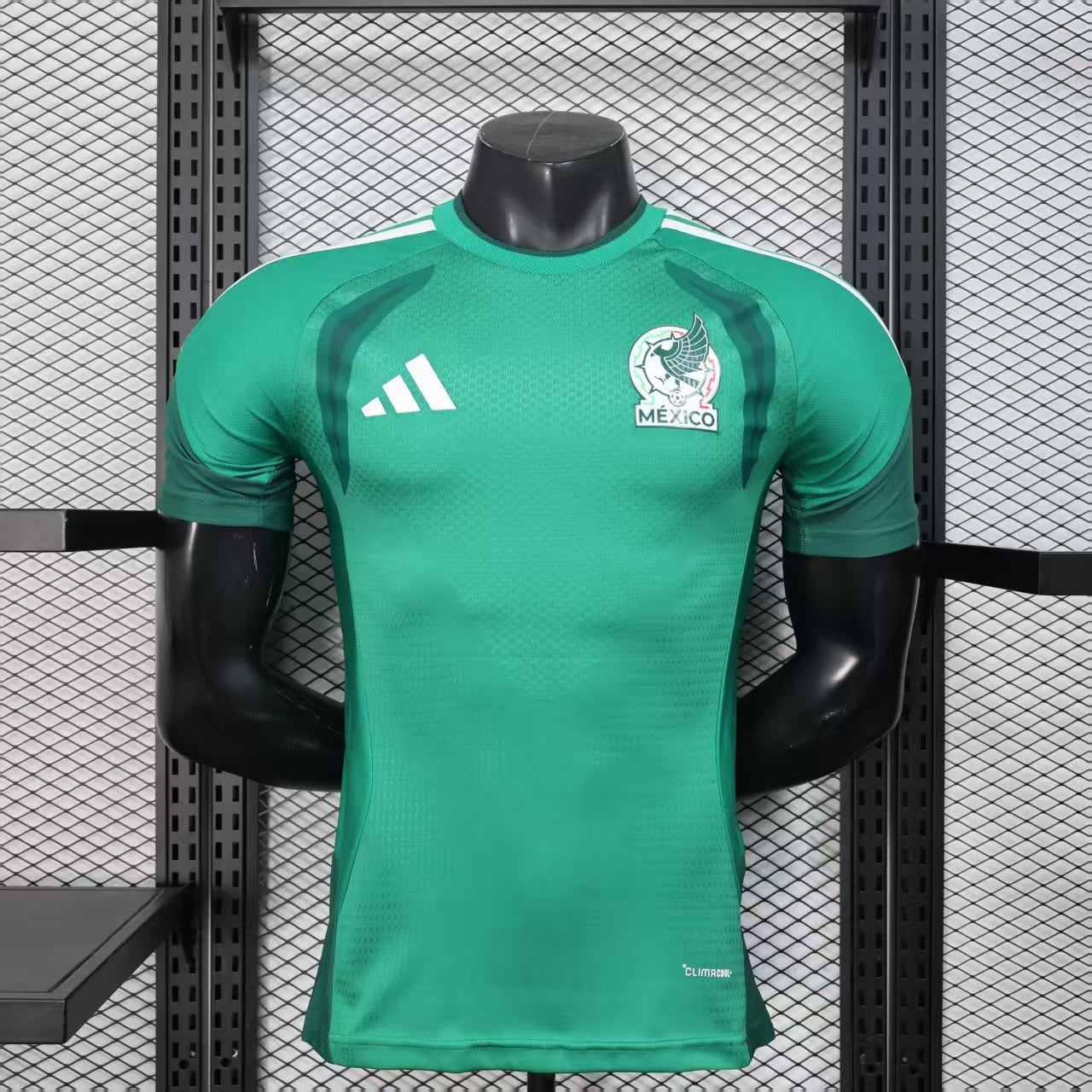 Mexico 2026 World Cup Training