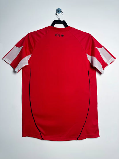 Bayern Munich 2010/11 Home
