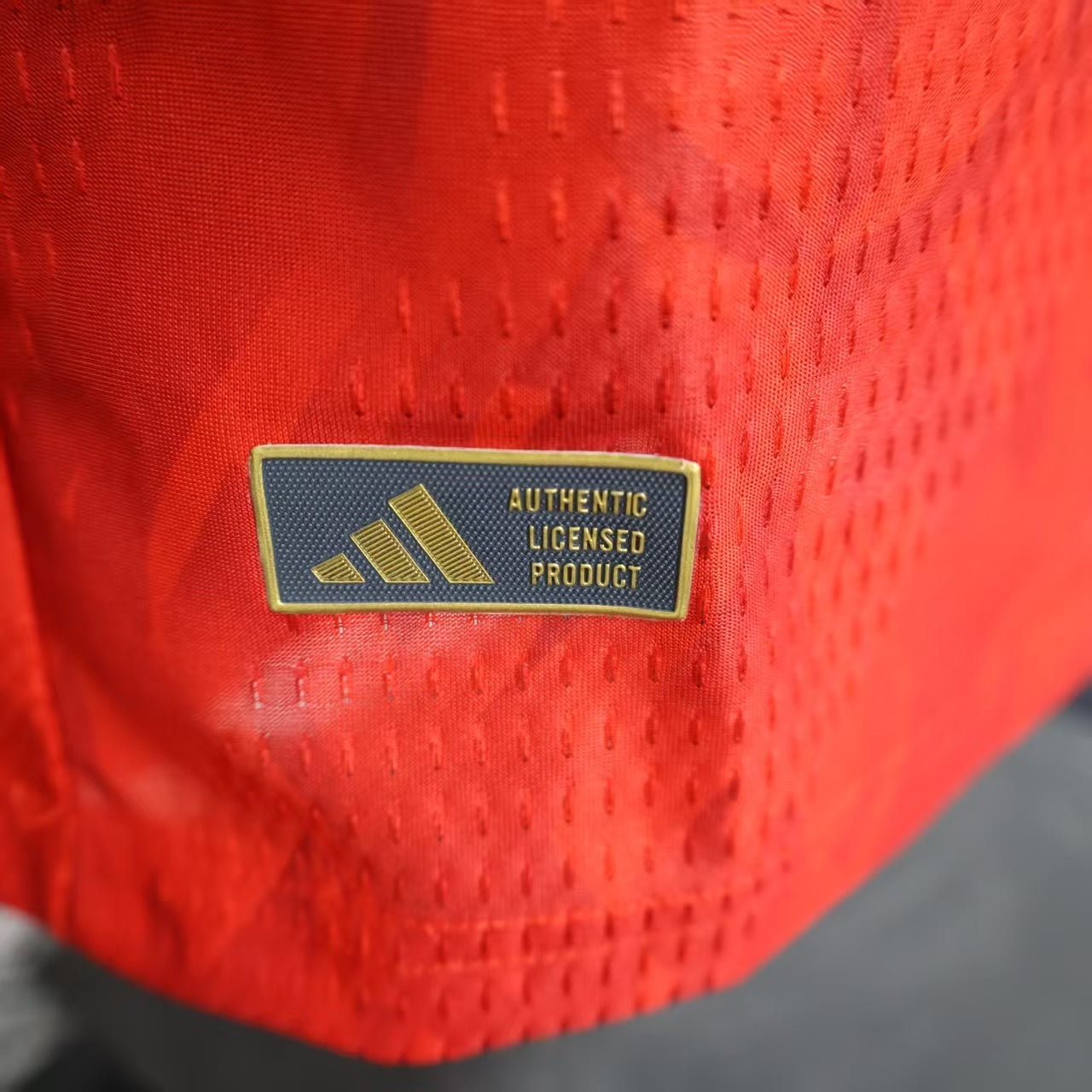 Belgium 2026 World Cup Home