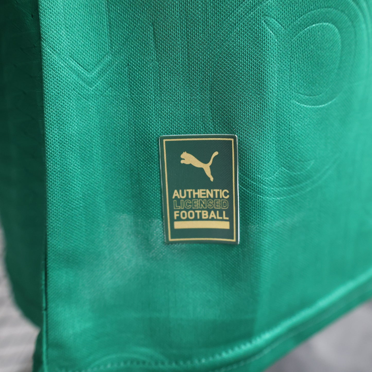 Palmeiras 2024 Home (2-5 DAY DELIVERY)