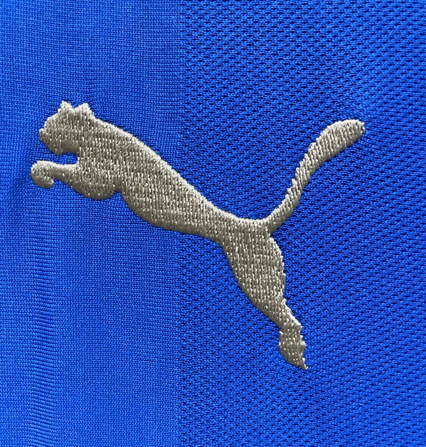 Leicester City 2015/16 Home