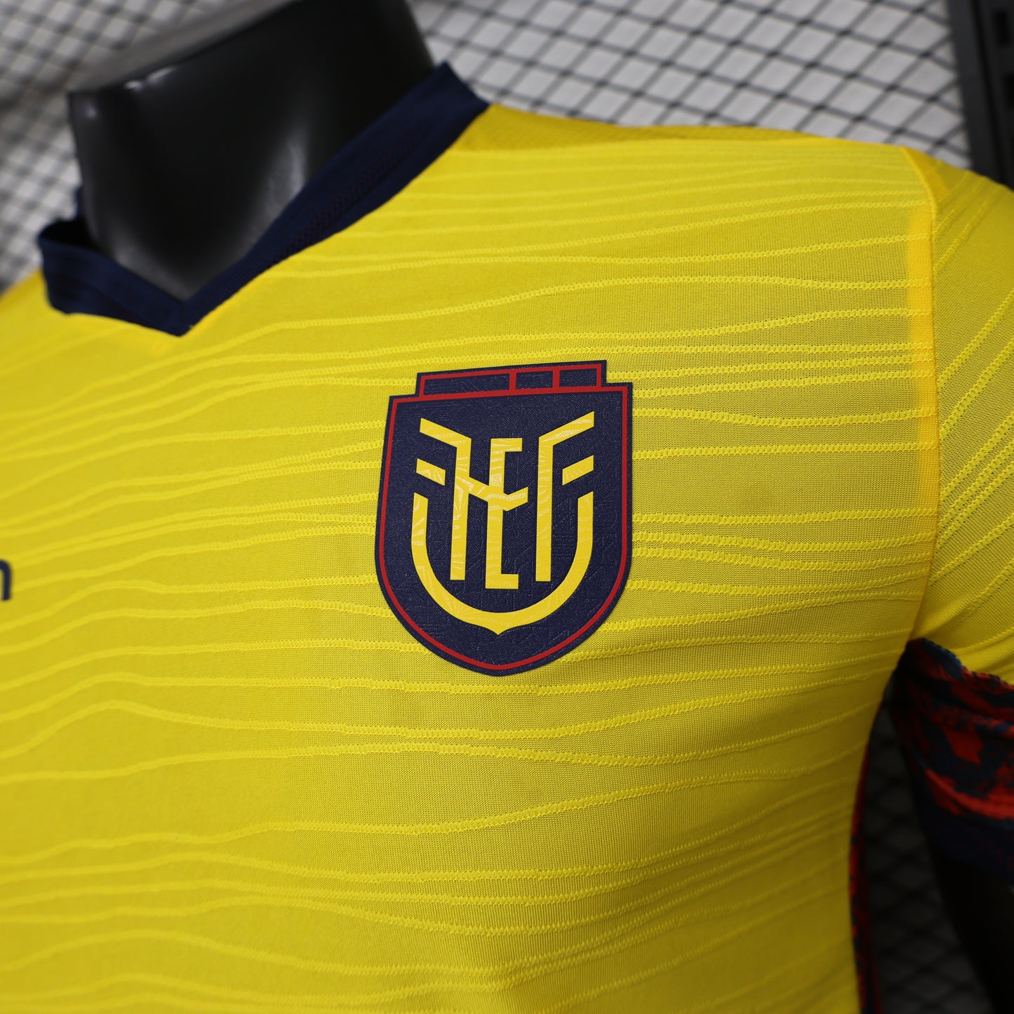 Ecuador 2026 World Cup Home