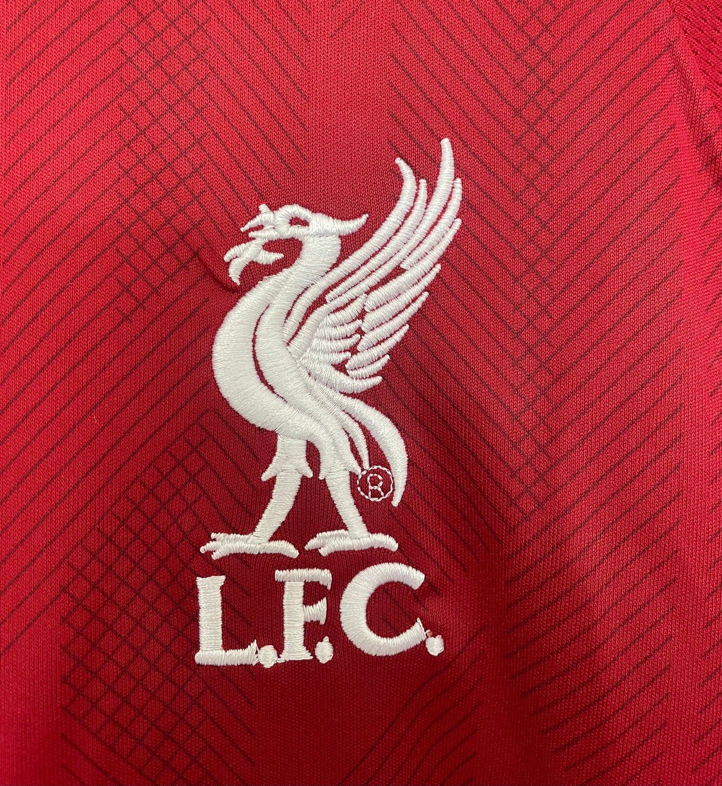 Liverpool 2018/19 Home