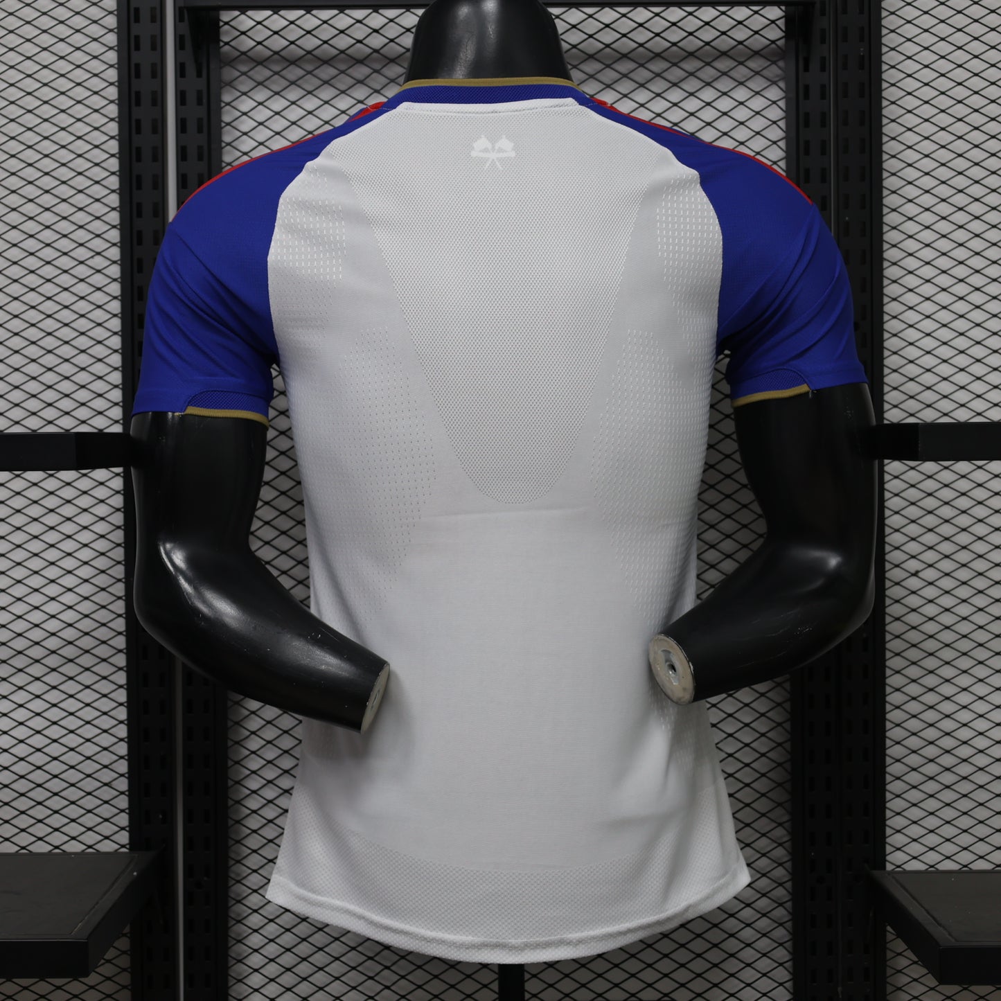 Olympique Lyon 2026/27 Home