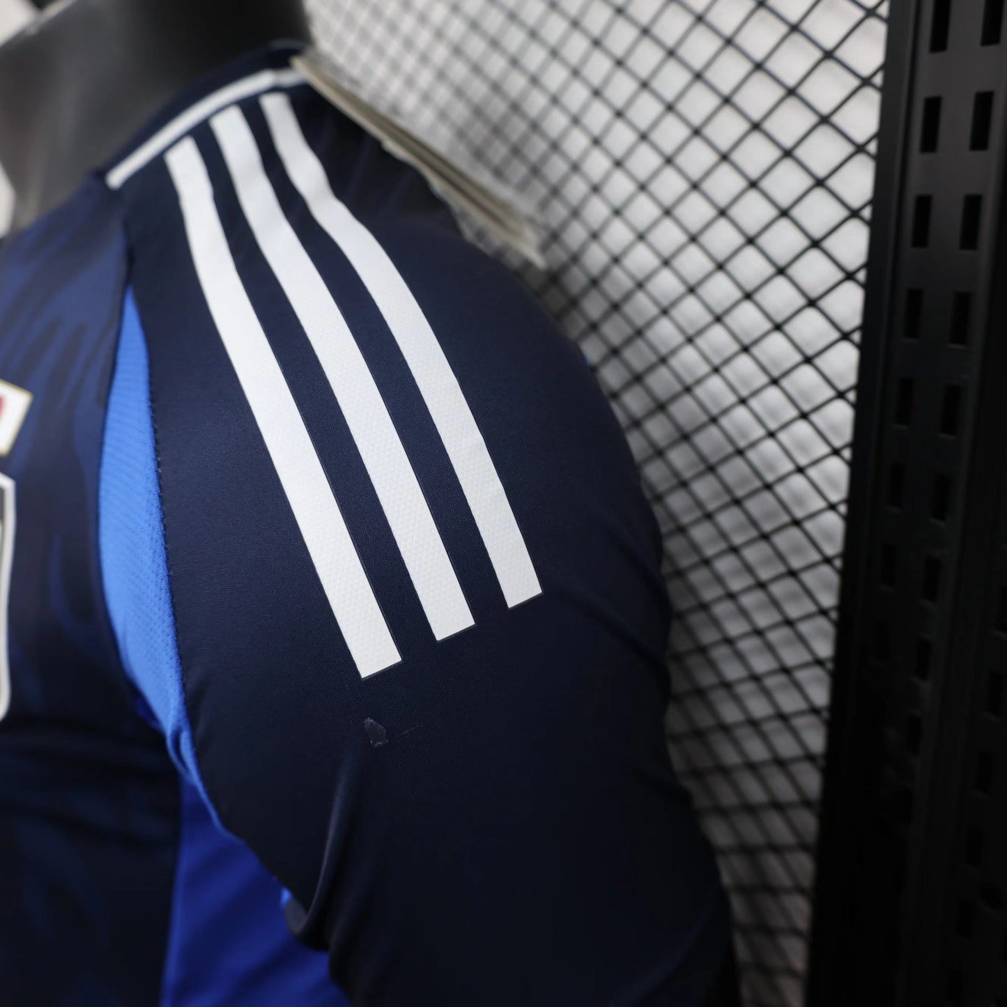 Japan 2024/25 Home