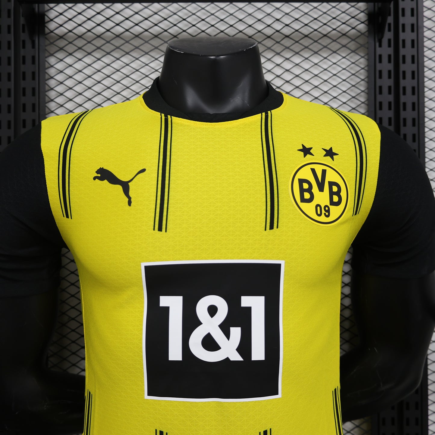 Borussia Dortmund 2024/25 Home