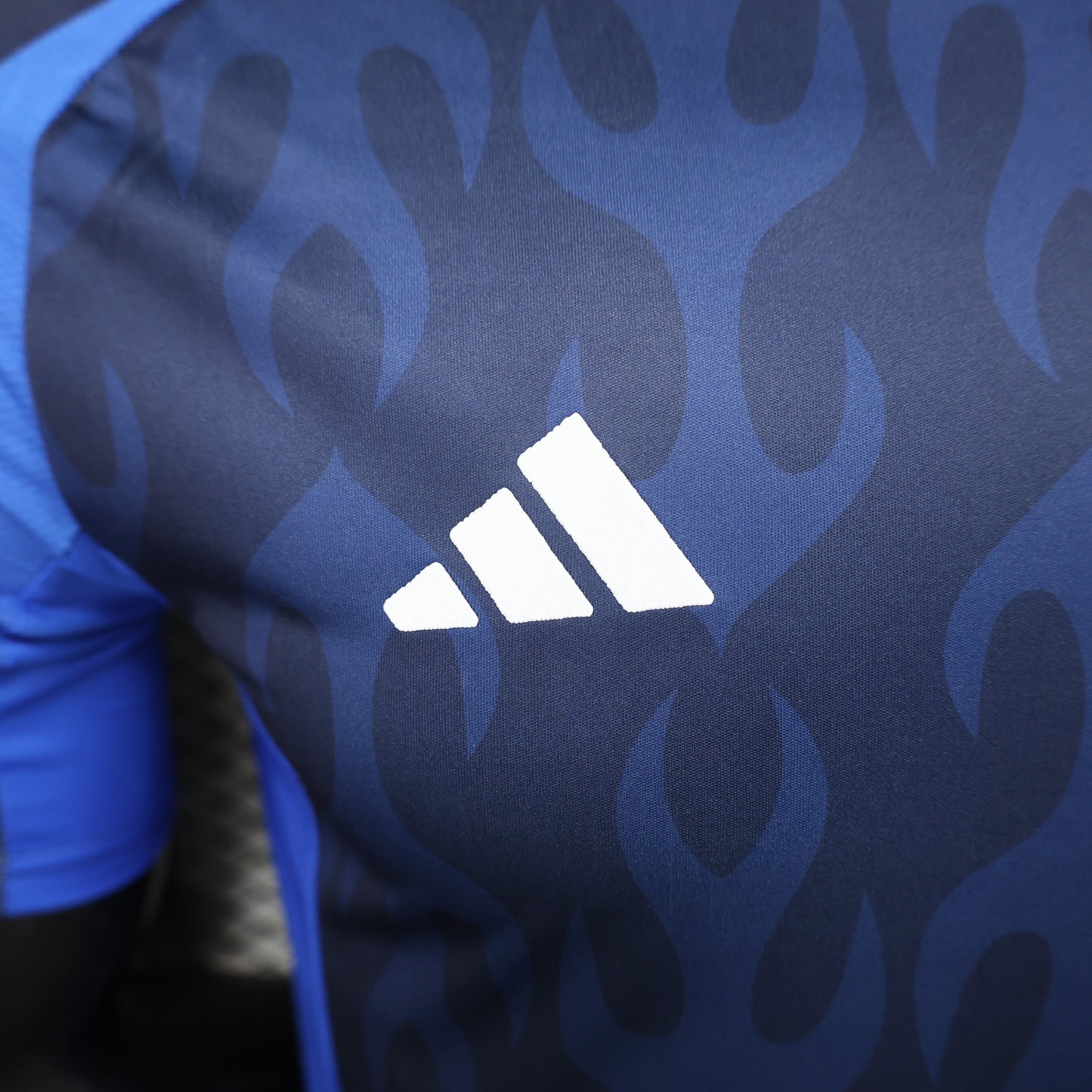 Japan 2024/25 Home
