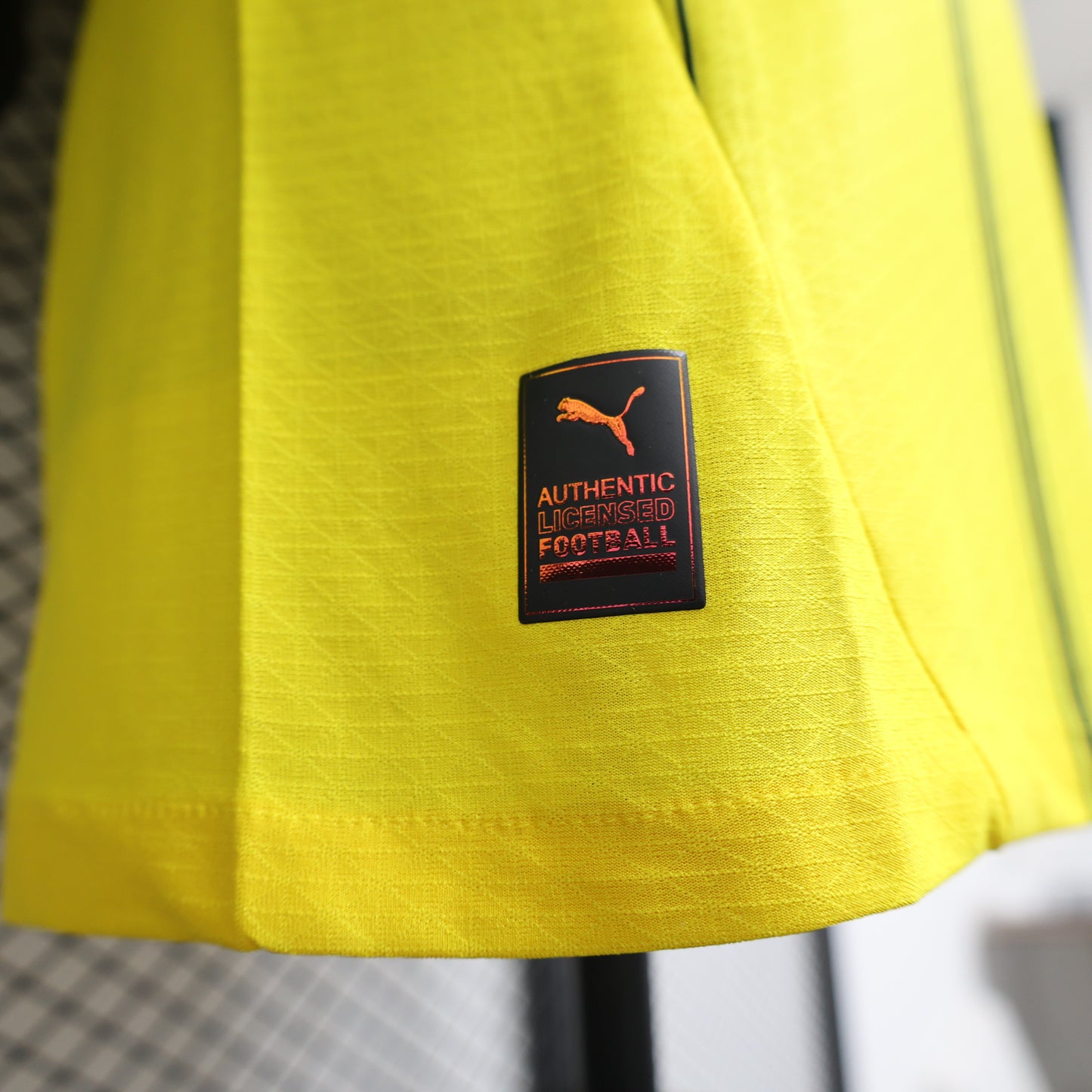 Borussia Dortmund 2024/25 Home
