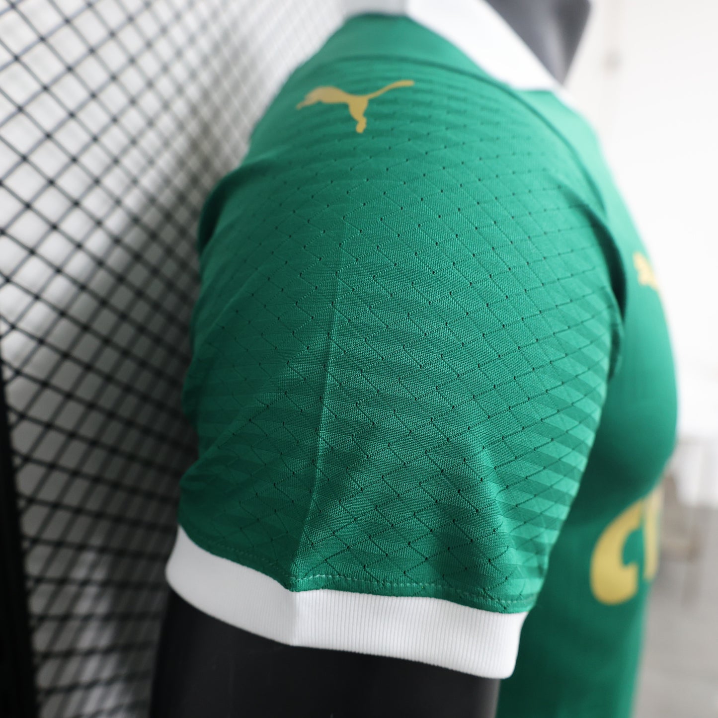 Palmeiras 2024 Home (2-5 DAY DELIVERY)