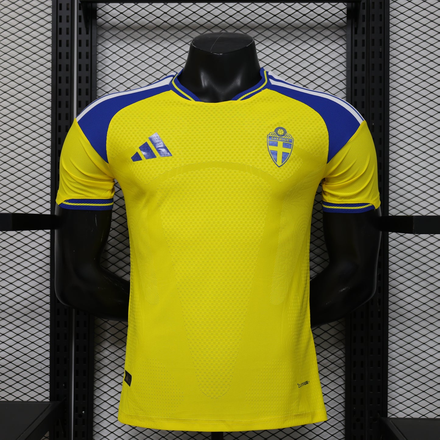 Sweden 2026 World Cup Home